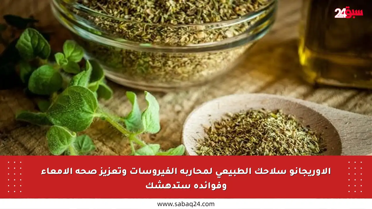 الأوريجانو سلاحك الطبيعي لمحاربة الفيروسات وتعزيز صحة الأمعاء وفوائده ستدهشك